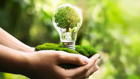 Environmental sustainability and eco-conscious living