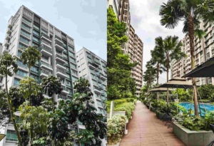 Comparison of HDB flats and private condominiums for expat renters